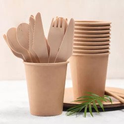 Cucharas de plástico
