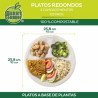 Berry Green 125 Platos Grandes Con Divisiones, 100% Compostables