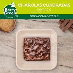 Plato cuadrado plástico