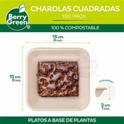 Plato cuadrado plástico