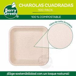 Plato cuadrado plástico